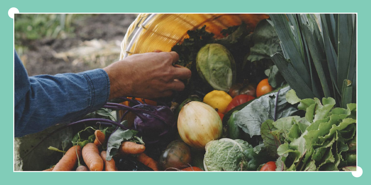 Farmer displaying basket of local vegetables