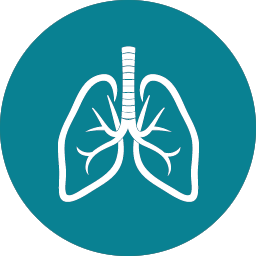 Icon with image of lungs.